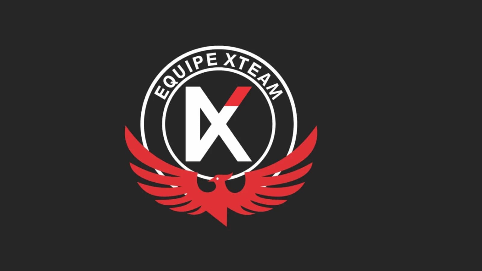 XTeam MMA